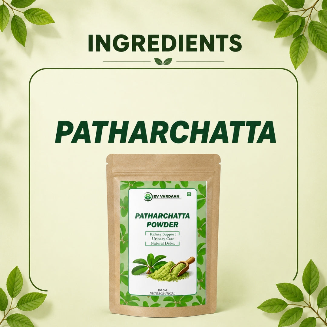 Patharchatta Powder | Ayurvedic Herbal Wellness Support Powder – 100gm