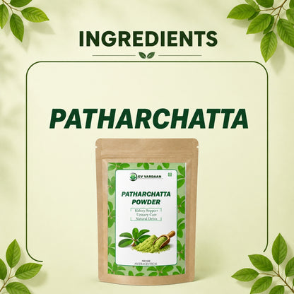 Patharchatta Powder | Ayurvedic Herbal Wellness Support Powder – 100gm